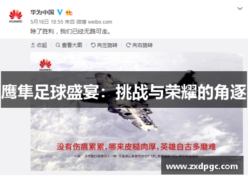 鹰隼足球盛宴：挑战与荣耀的角逐