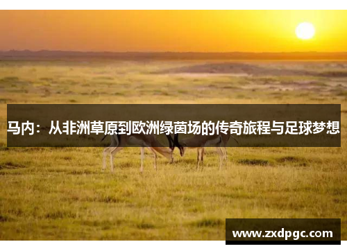 马内：从非洲草原到欧洲绿茵场的传奇旅程与足球梦想