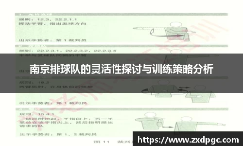 南京排球队的灵活性探讨与训练策略分析